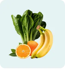 Fresh Vegetables
