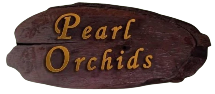 Pearl Orchids