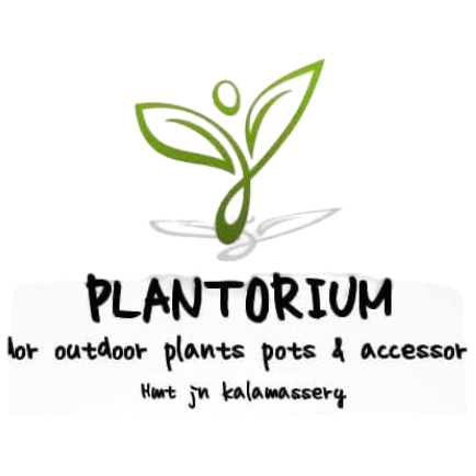 Plantorium - Bringing Nature Closer to You